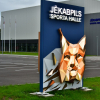 Jēkabpils ledus halle