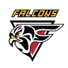 HS Falcons