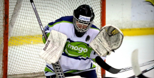 HK Prizma - HK Mogo 1:4