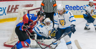 HK "Zemgale/LLU" pret HS "Rīga" 21.10.2015.