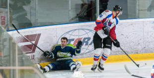 "Zemgale/LLU" pieveic "Mogo"