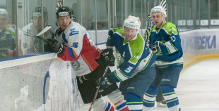 "Zemgale/LLU" pieveic "Mogo"