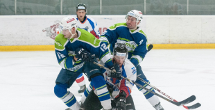 "Zemgale/LLU" pieveic "Mogo"