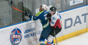 "Zemgale/LLU" pieveic "Mogo"