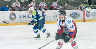 "Zemgale/LLU" pieveic "Mogo"