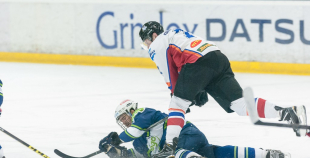 "Zemgale/LLU" pieveic "Mogo"