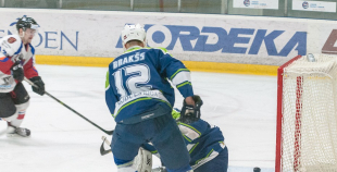 "Zemgale/LLU" pieveic "Mogo"