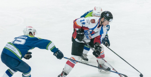 "Zemgale/LLU" pieveic "Mogo"