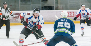 "Zemgale/LLU" pieveic "Mogo"