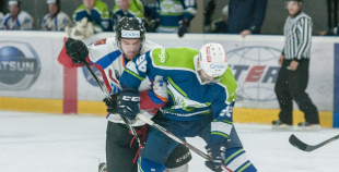 "Zemgale/LLU" pieveic "Mogo"