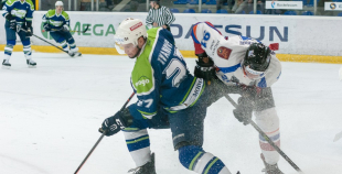 "Zemgale/LLU" pieveic "Mogo"