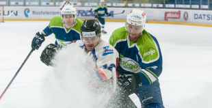 "Zemgale/LLU" pieveic "Mogo"