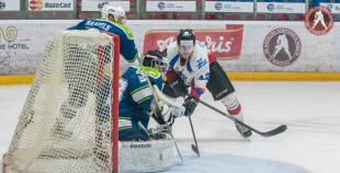 2016 HK Mogo - HK Zemgale/LLU 1:4