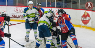 2016 HK Zemgale/LLU - HK Mogo 4:5