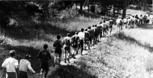 Viena diena ar Rīgas Dinamo Kandavas nometnē. 1978g