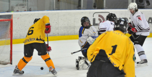 Vecie buki vēl grauž ledu