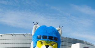 Latvija - Austrija 3:6