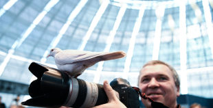 2021.gada Pasaules čempionāta talismans - ezis Spaikijs