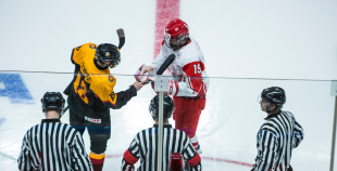 FOTO: Vācija - Dānija 