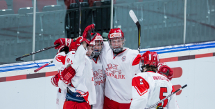 FOTO: Vācija - Dānija 