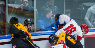 FOTO: Vācija - Dānija 