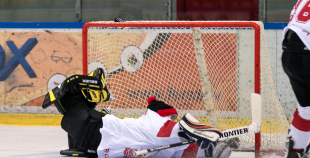 Latvijas hokeja virslīgas un 1. līgas Zvaigžņu spēle