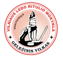 Gelezinis Vilkas logo