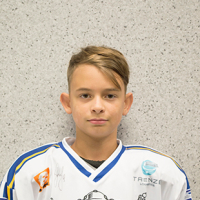 Aleksandr Zavirochin