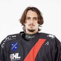 Arkadijus Grigaravičius Reyzin