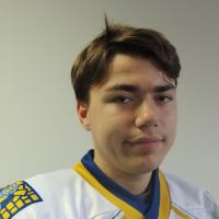 Artjoms Strunkevičs