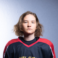 Gabriels Gustavs Salzirnis