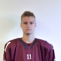 Gustavs Līcis Līcītis