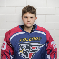 Gustavs Šlegelmilhs