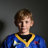 Kārlis Haralds Hartmanis