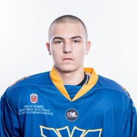 Ralfs Sebastjans Bergmanis