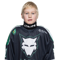 Roberts Zvirbulis