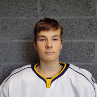 Silvestrs Razumovskis