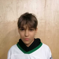 Vladislavs Kozlovskis